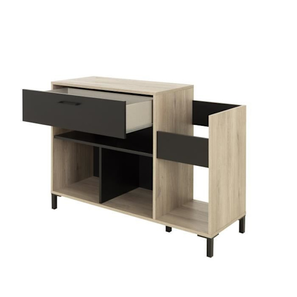 Vinyylisäilytysyksikkö - GAMI - Platina - Urbaanityyli - Tammi sisustus - Musta - P 115 x S 40 x K 81 cm Ek och svart