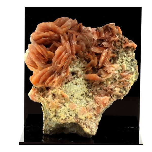 Sten og mineraler. Baryt + Pyrit. 1977,0 ct. Marokko.