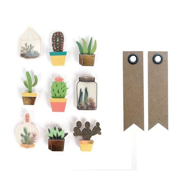 9 tarraa 3D kaktus ja kasvit 4 cm + 20 kraft Fanion -tunnistetta