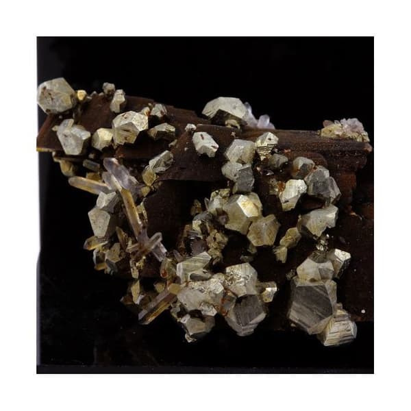 Siderit, Pyrit, Quartz 302,7 karat Flerfärgad