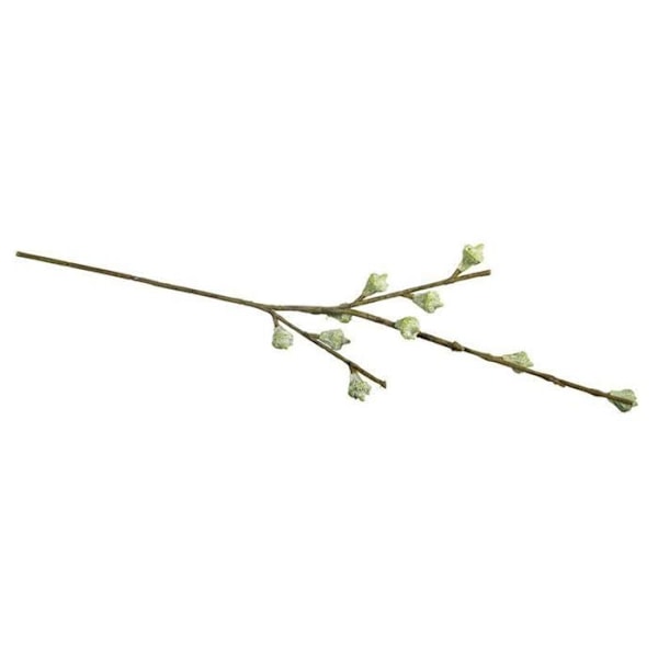 Eukalyptushedelmähaara 40cm Grön