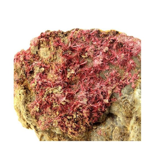 Stenar och mineraler. Erytrit. 1422,0 cent. Bou Azzer-distriktet, Tazenakht, Marocko.