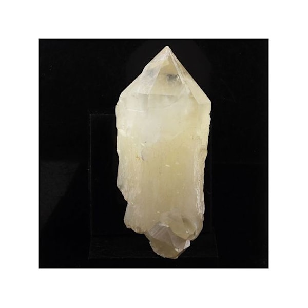 Sten og mineraler. Kvarts Scepter. 641,0 øre. Les Halles mine, Vaulnaveys-le-Bas, Isère, Frankrig..