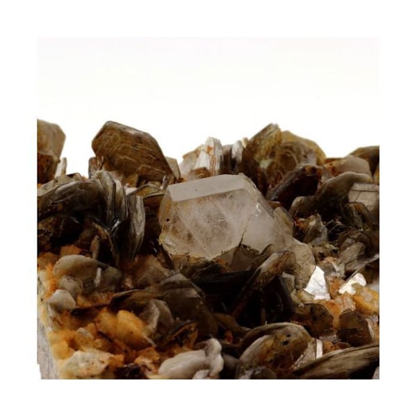 Apatit + Lepidolite 1785,0 karat Flerfärgad