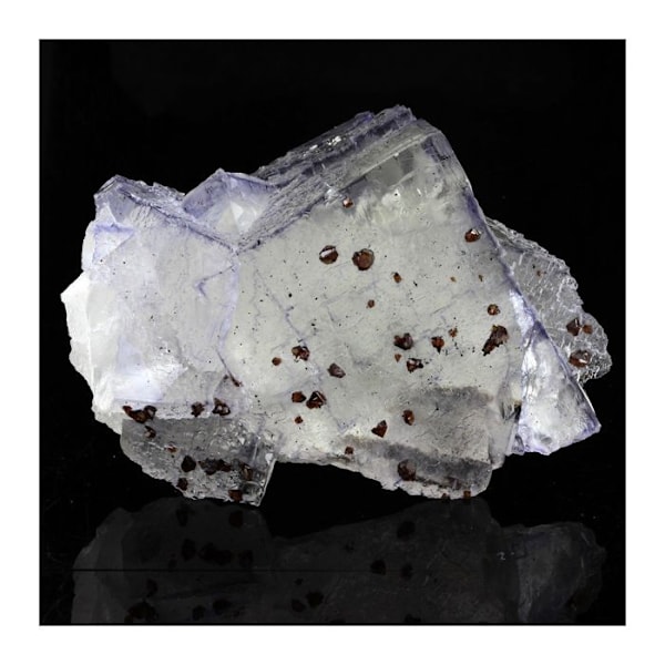 Sten og mineraler. Fluorit, Sphalerit. 857,5 øre. Elmwood Mine, Tennessee, USA.