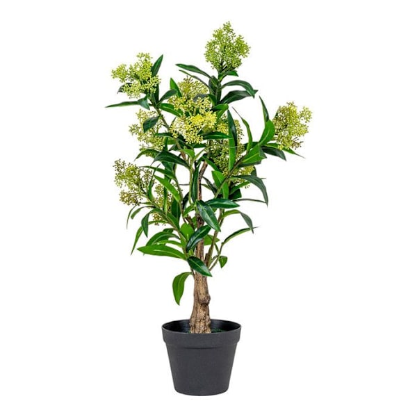 Kunstig skimmia træ 75 cm Grön
