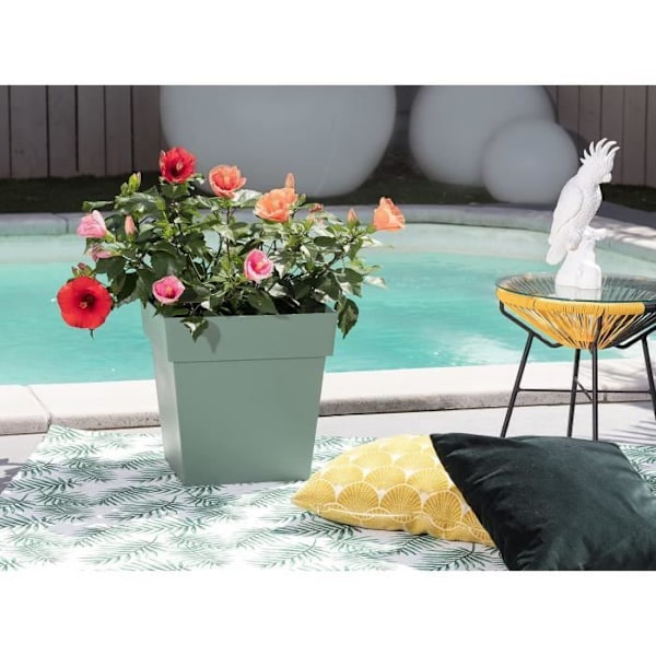 EDA Blomsterkrukke kvadratisk Toscana 22 L - Bredbladet laurbær - 32 x 32 x H 32 cm Lagergrön