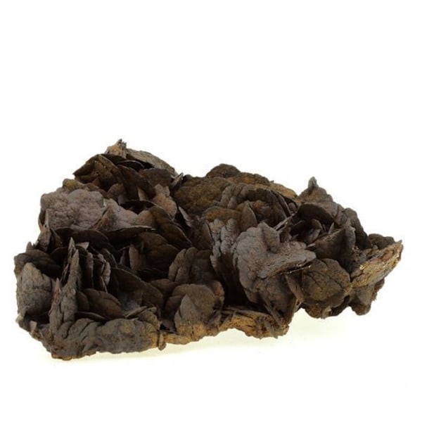 Kivet ja Mineraalit. Siderite. 3640,0 ct. Vizille, Isère, Ranska.