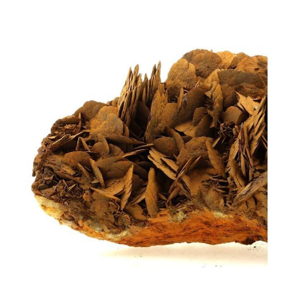 Kivet ja Mineraalit. Siderite. 5554,0 senttiä. Pierre Roussen kaivos, Vizille, Isère, Ranska.