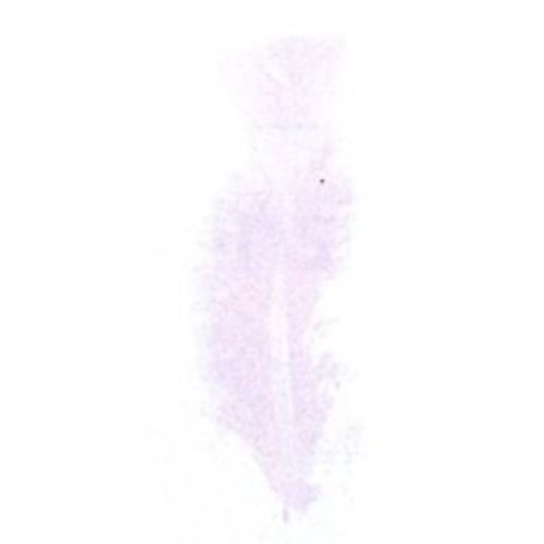 5g fjer. - Hvid