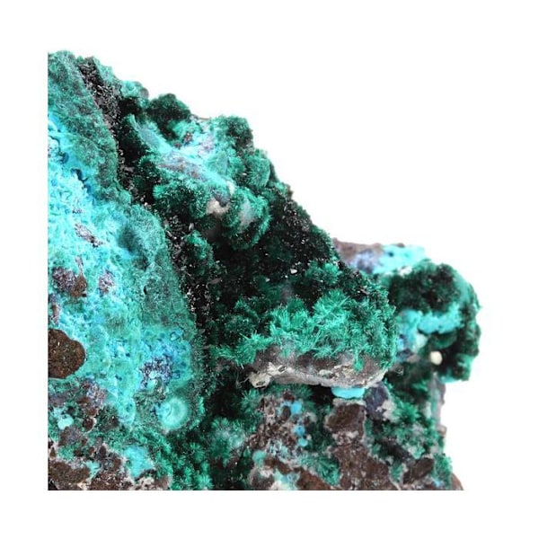 Sten og mineraler. Brochantit + Chrysocolla + Atacamite. 1035,0 øre. Atacama-regionen, Chile.
