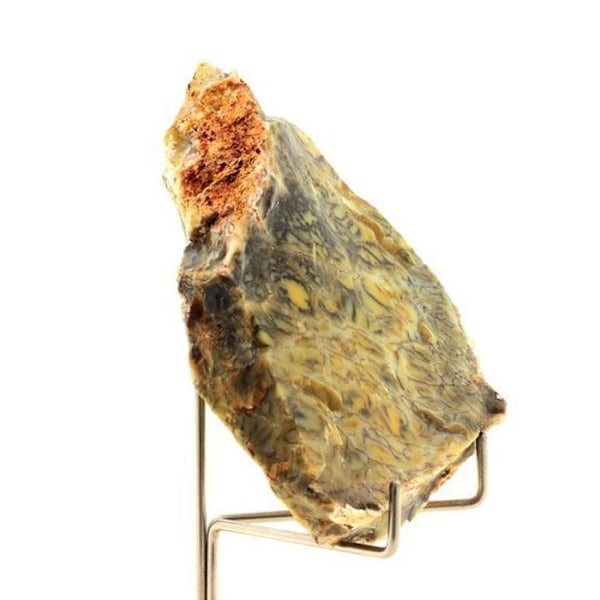 Sten og mineraler. Dendritisk opal. 404,45 øre. Lightning Ridge, New South Wales, Australien.