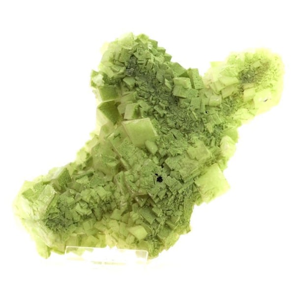 Kristall - ABIJOUX - Duftit på Dolomit - Grön - 3090.0 ct - Äkthetsbevis