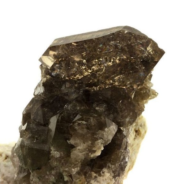 Sten og mineraler. Røgkvarts. 372,0 ct. Mont-Blanc-massivet, Haute-Savoie, Frankrig.
