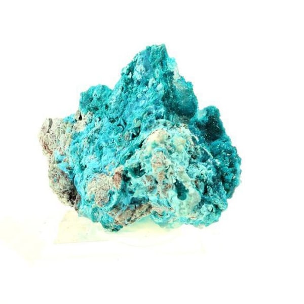 Sten og mineraler. Dioptase + Shattuckite. 454,0 øre. Milpillas Mine, Sonora, Mexico.
