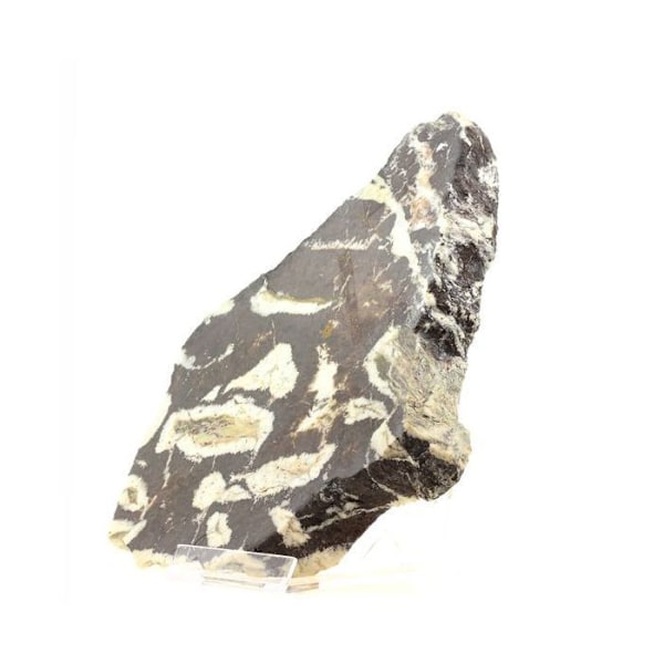 Sten og mineraler. Siderit. 7597,0 ct. Fond de France, La Ferrière, Isère, Frankrig.