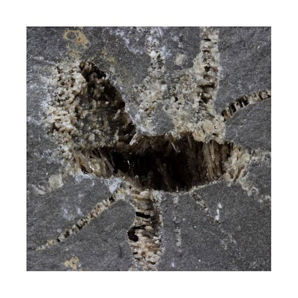Sten og mineraler. Septaria, Baryt. 3609,0 ct. Col de Pré Guittard, Drôme, Frankrig.