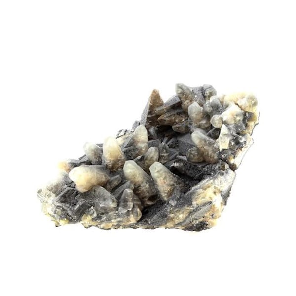 Stenar och mineraler. Kalcit. 1546,0 cent. Lacaune-les-Bains, Tarn, Frankrike.