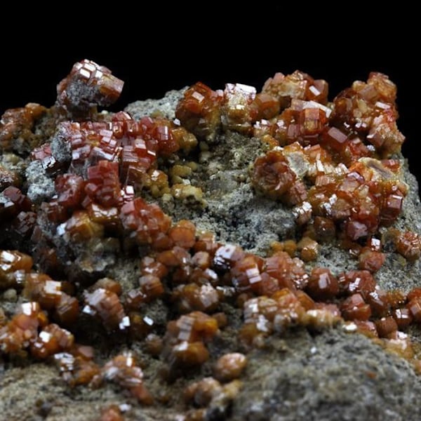 Sten og mineraler. Vanadinit. 1009,5 øre. Mibladen Mining District, Midelt, Marokko.