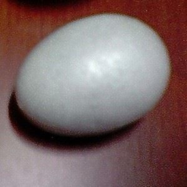Styrenägg - Vitt - 10 cm - Anpassningsbar dekoration - Blandat