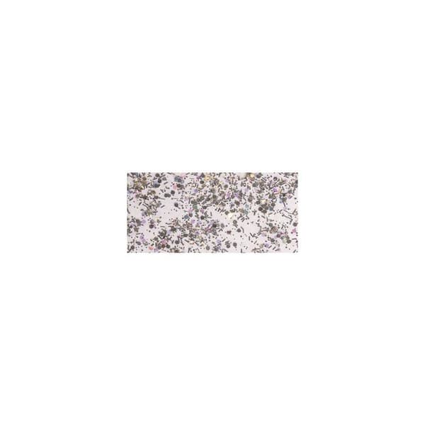 Glitter - Limma stor, silver, 50ml flaska pengar
