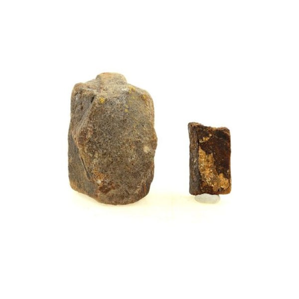 Sten og mineraler - ABIJOUX - Staurolit (2 stk) - 255.0 ct - Coët Ligné, Pontivy, Bretagne, Frankrig