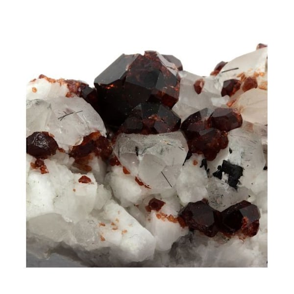 Sten og mineraler. Granat, ortoklase, kvarts, turmalin. 711,5 øre. Shengus, Pakistan. Röd