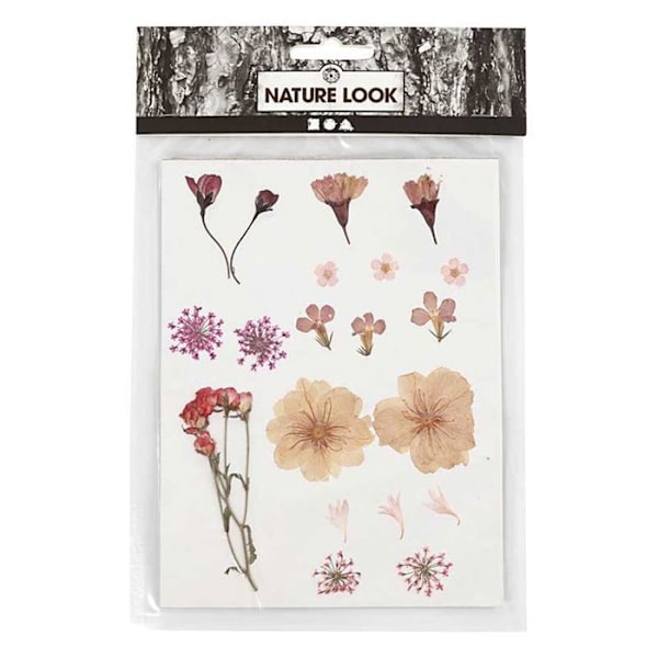 40 tørrede og pressede blomster - Lyserød Rosa