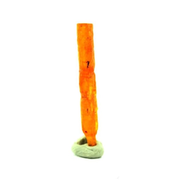 Kivet ja Mineraalit. Oranssi kyaniitti. 3,15 ct. Sangulungulu Hill, Loliondo, Tansania. Orange