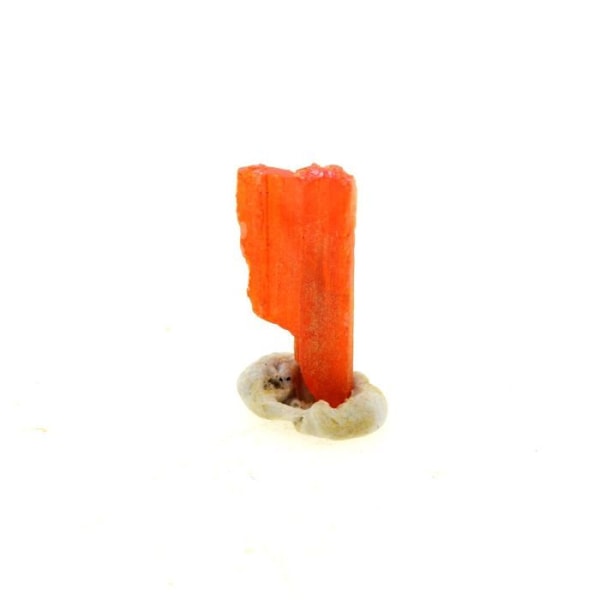 Sten og mineraler. Crocoite. 0,77 ct. Adelaide Mine, Dundas, Tasmanien, Australien.