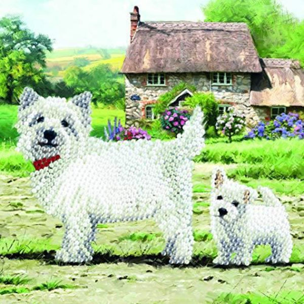 CRYSTAL ART- Diamond Card Kit, CCKA52, Assorted, 18x18cm Blandad