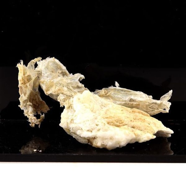 Kivet ja mineraalit. Rectorite kalsiitilla. 122,0 ct. La Table, Chambéry, Ranska.
