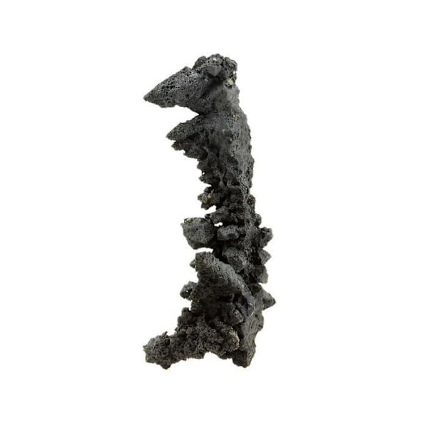 Sten og mineraler. Acanthit. 212,0 øre. Imiter Mine, Drâa-Tafilalet, Marokko.