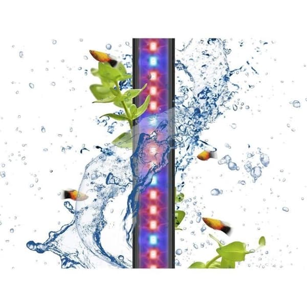 Planter Rampe LED - CIANO - Convert. Aqua 60 80 LED Blå