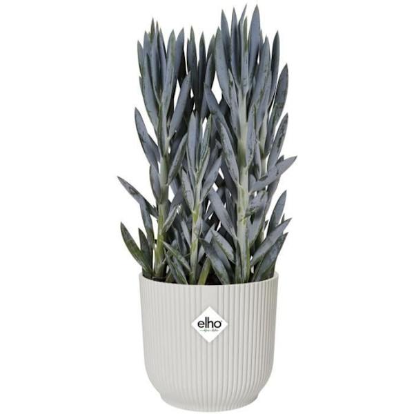 Elho VIBES Rund Blomkruka - Plast - Ø25xH 23,0 cm - Vit/Sidenvit Vit