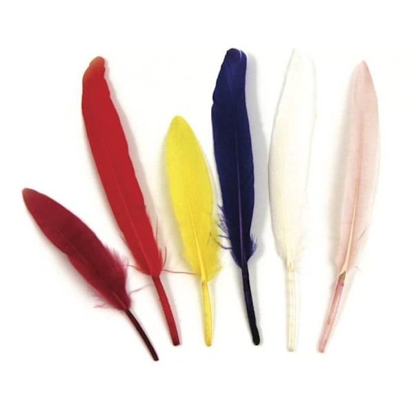 Indiske fjer, assorterede, 10,5 cm, sct.-LS 24 stk.