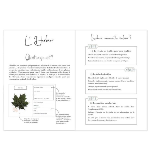 Herbarium Block A5 - Draeger Paris - FSC®-certifierat papper - Hård pärm - 80 sidor Flerfärgad