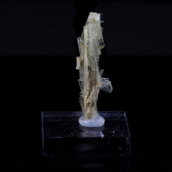 Sten og mineraler. Klinozoisit. 14,10 ct. Marine de Scala, Canari, Haute-Corse, Frankrig.