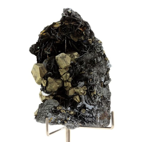 Stenar och mineraler. Hematit + Pyrit. 732,0 cent. Ön Elba, Toscana, Italien.