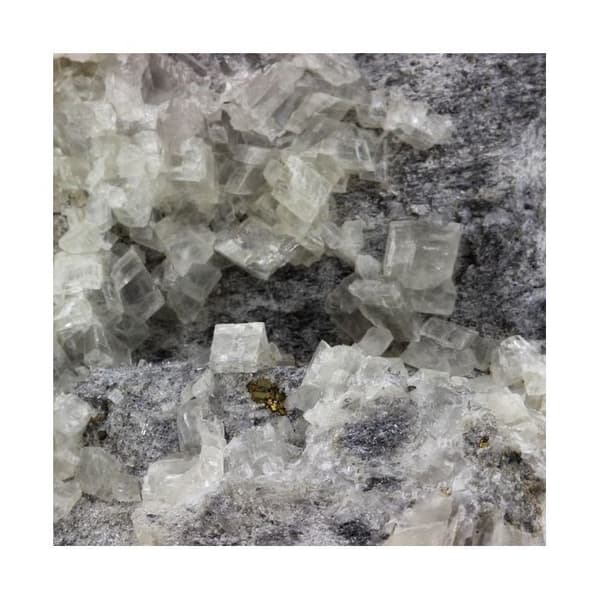 Sten og mineraler. Pyrit + dolomit. 895,5 ct. Saint-Pierre-de-Mésage, Isère, Frankrig.