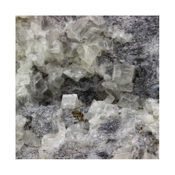 Stenar och mineraler. Pyrit + Dolomit. 895,5 ct. Saint-Pierre-de-Mésage, Isère, Frankrike.