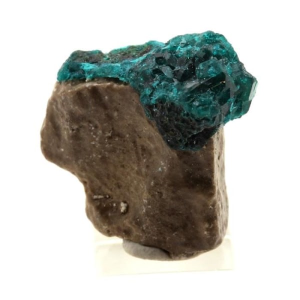 Sten og mineraler. Dioptase. 10,50 øre. Altyn-Tyube, Karaganda, Kasakhstan.