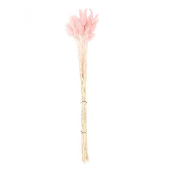 Rosa torkad lagurus - 45 cm Ros