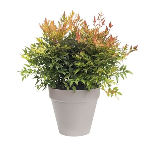 Blomsterkrukke - ELHO - Loft Urban - Ø 40 cm - Grå anthracite - Med hjul Kolgrå