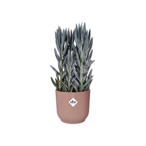 ELHO Vibes Fold Rund urtepotte Hjul 35 - Pink - Ø 35 x H 32 cm - indvendig - 100% genanvendt Puderrosa