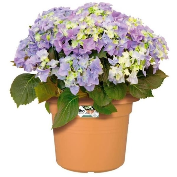 grøn basic cylinder 45cm mild terra mjuk terrakotta