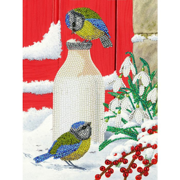 Diamanttikuviointiset tarvikkeet 21x29cm Linnut lumessa Flerfärgad