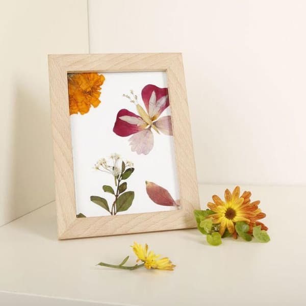 2 trærammer til herbarium 13 x 17 cm beige