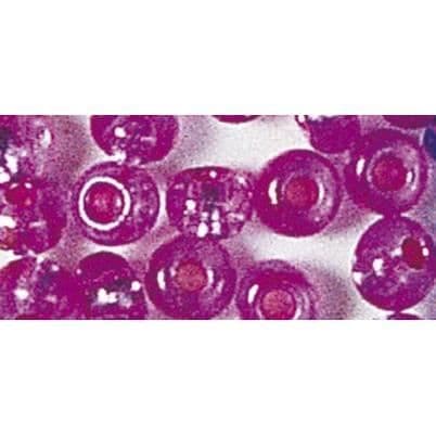 RAYHER Rocailles 2mm Ø Ruusut Mörkrosa