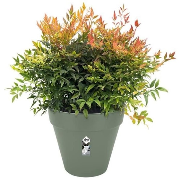 Planteur Rectangle VIBIA - Plast - Reservoir - Ø50 - grøn Grön